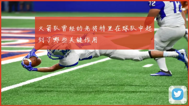 火箭队曾经的老将特里在球队中起到了哪些关键作用