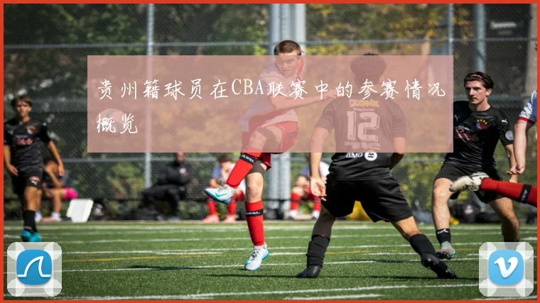 贵州籍球员在CBA联赛中的参赛情况概览