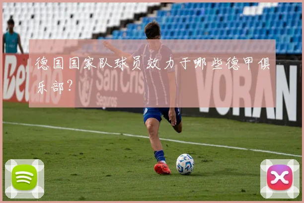 德国国家队球员效力于哪些德甲俱乐部？