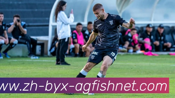 AG捕鱼王官网平台生态图