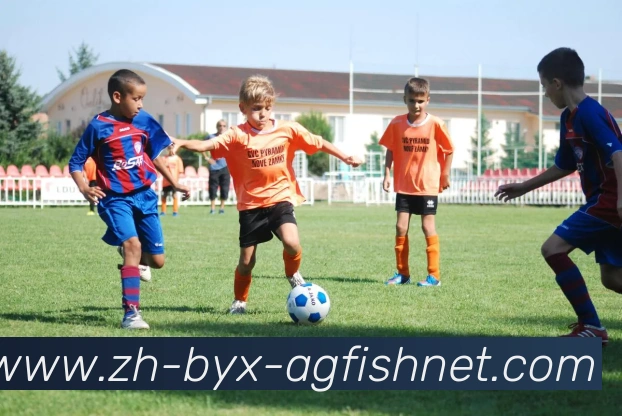 数据防护可视化