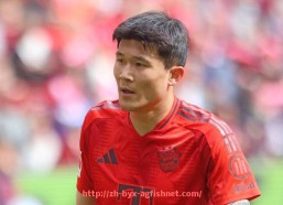 AG捕鱼王官网-世俱杯技术统计分析报告，数据背后的战术图谱