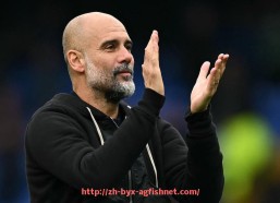 AG捕鱼王官网-法甲每轮比赛数据汇总与赛季趋势解读