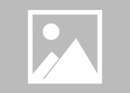 AG捕鱼王官网-世俱杯现场球迷应援手势创意大全及训练指南