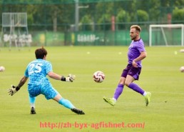 AG捕鱼王官网-世俱杯场地安保与封锁措施细则及实施经验分享